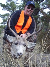 Dave took this deer at 545 yards with long range equipment